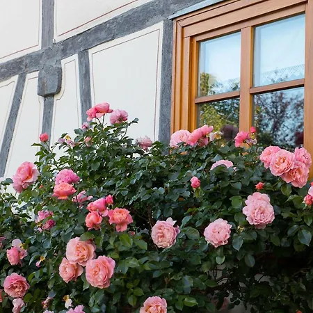 Fachwerktraum Im Hof * Alheim