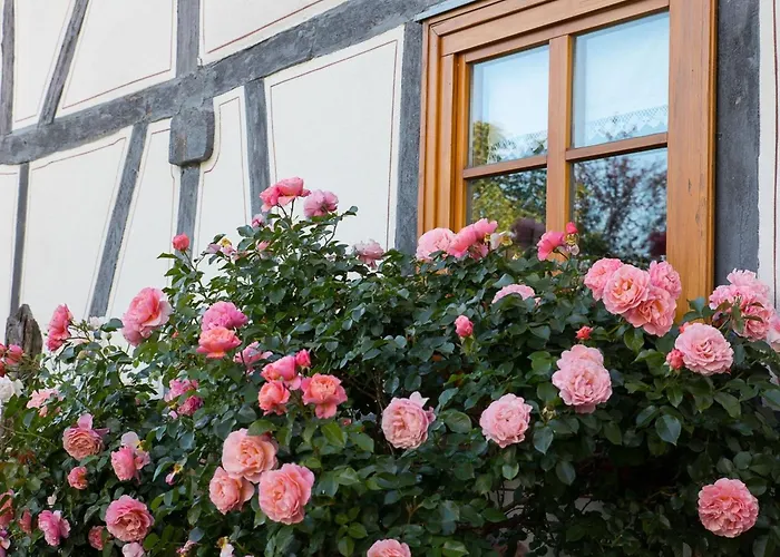 Fachwerktraum Im Hof * Alheim